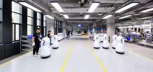 探秘優(yōu)必選重慶機器人工廠 人形迎賓機器人“眨眼動嘴”背后的全自動化智造